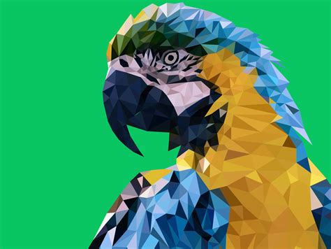 Macaw Low Poly Art by Parag Das on Dribbble