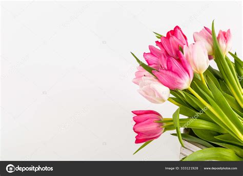 Fresh spring tulips on white Stock Photo by ©photorezacpavel 333121928