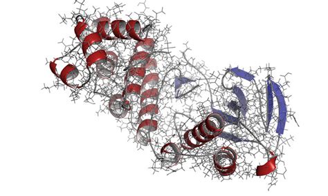 Scientists uncover steps to kinase enzyme activation - Drug Target Review