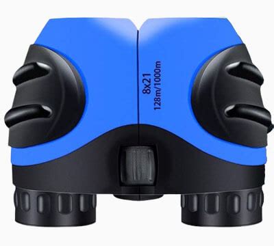 The 10 Best Image Stabilized Binoculars in 2024