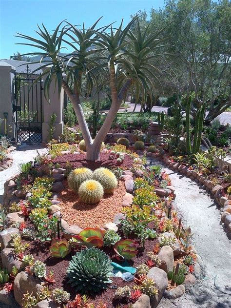 36 Beautiful Cactus Landscaping Ideas For Your Front Yards Decor ...