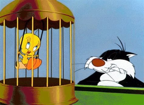 Cute cat pets birdy. - Animals | Looney tunes characters, Vintage ...