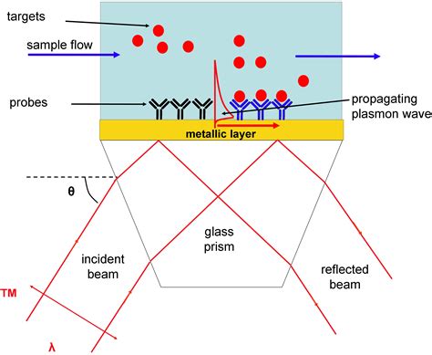 Surface plasmon resonance imaging – Goulotte protection cable exterieur