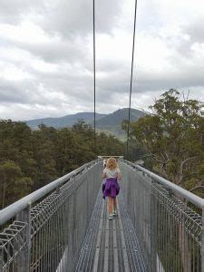 Tahune Adventures Tasmania Airwalk Eagle Glide Camping