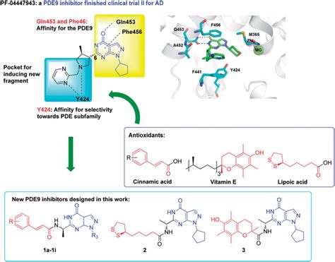 The design of PDE9 inhibitors with antioxidant activities. | Download ...