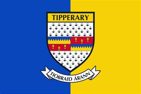 Tipperary County Crest Flag – Flags Ireland Prospect Design