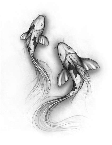 koi fish | Fish sketch, Koi fish drawing, Fish drawings