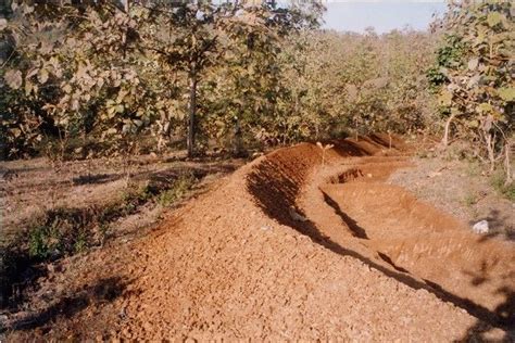 contour bunding | Soil conservation, Permaculture, Save water