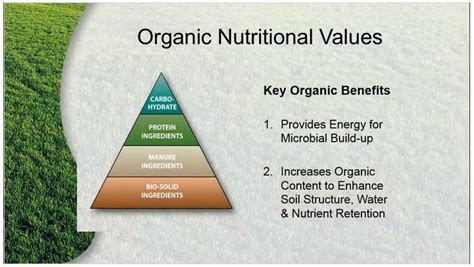 Benefits of Organic Fertilizer | Agriculture, Technology, and Business Market