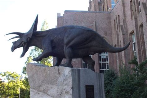 Yale Peabody Museum of Natural History, a University Museum