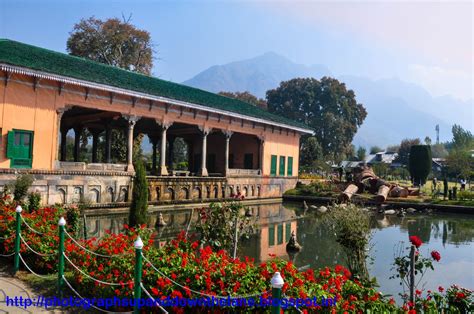 PHOTOGRAPHS UP AND DOWN THE LANE: Mugal Gardens of Srinagar