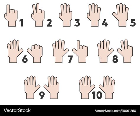 Children hand counting number one to ten Vector Image