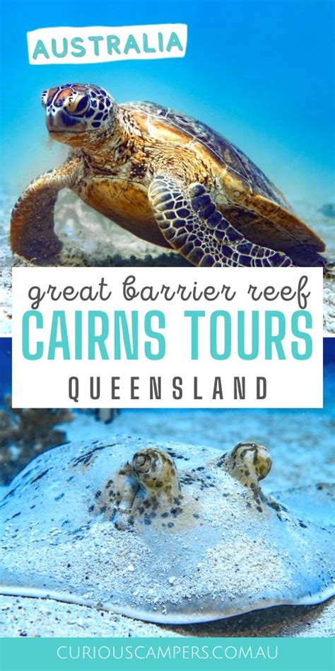 Cairns Snorkelling Tours - How to see the Great Barrier Reef