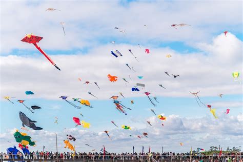 International Kite Festival (Uttarayan) 2020 - Date, Venue in Gujarat