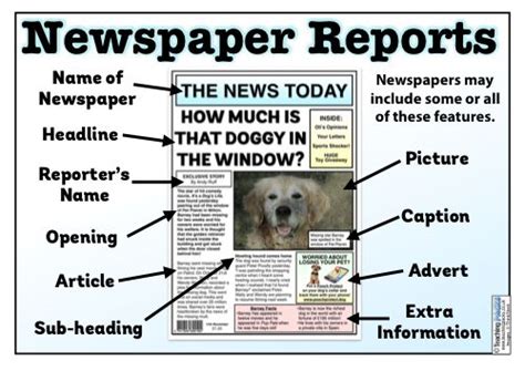 Newspaper Report Writing Sample | PDF Template