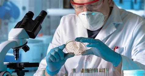 BD unveils upgrade to BD Kiestra microbiology lab solution | LabPulse.com