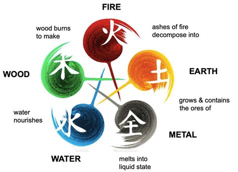 TCM concepts of 5 elements for Yin Yoga — Simmy's Yoga lab