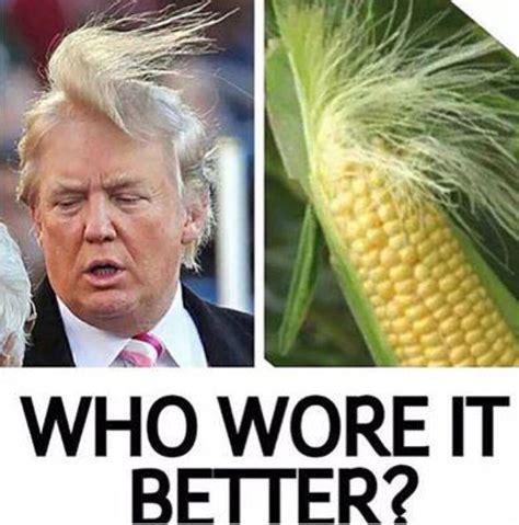 Who wore it better? Trump or Corn? Funny Posts, Funny Memes, Jokes, Freaking Hilarious ...