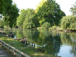 Geese at Waddon Ponds | This is one of the two sources of th… | Flickr