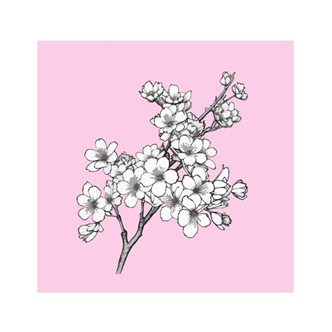 Premium Vector | Vector sakura flower Beautiful floral doodle design ...