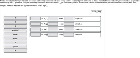 Solved Mendel crossed peas having round seeds and yellow | Chegg.com