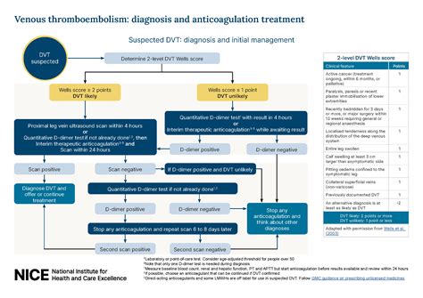 DVT Flow Chart