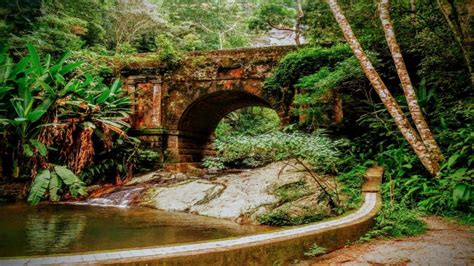 Trekking Parque Nacional Tijuca, Rio de Janeiro, Río de Janeiro - BRASIL