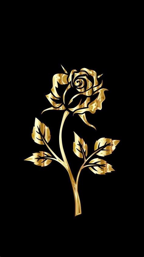 Golden Rose Wallpapers - Top Free Golden Rose Backgrounds - WallpaperAccess