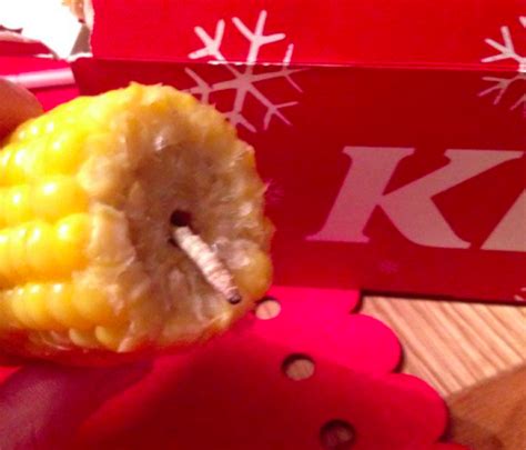 Not On The Menu: This Is NOT What You Want To Find In Your KFC Corn On The Cob