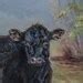 A Black Cow Art Cattle Art Calf Art Cattle Art Prints-cattle Painting ...