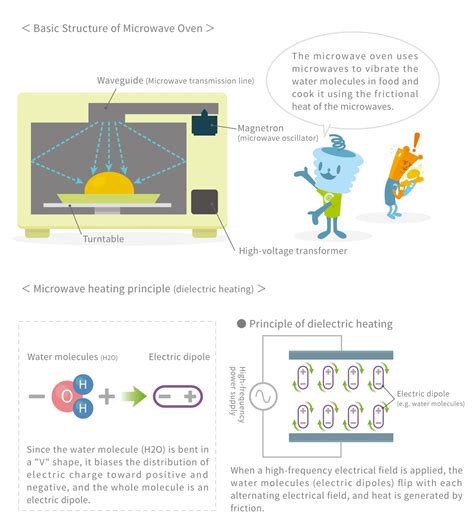 How Does a Microwave Oven Work? Explaining the Principle of Heating and Basic Structure｜The ...