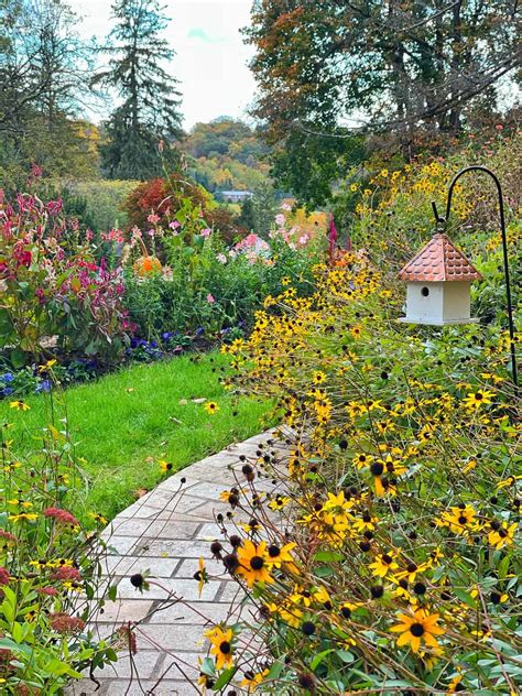 10 Must-Do Fall Garden Chores - Stacy Ling