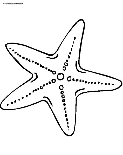 Starfish Outline - ClipArt Best