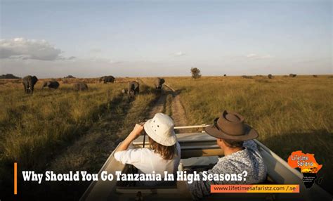 WHEN IS THE BEST TIME FOR SAFARI IN TANZANIA? – LOW SEASONS OR HIGH ...