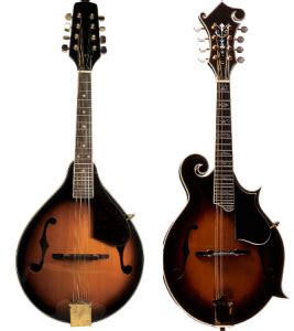 A vs. F Style Mandolin (Differences & Which One Is Better?)