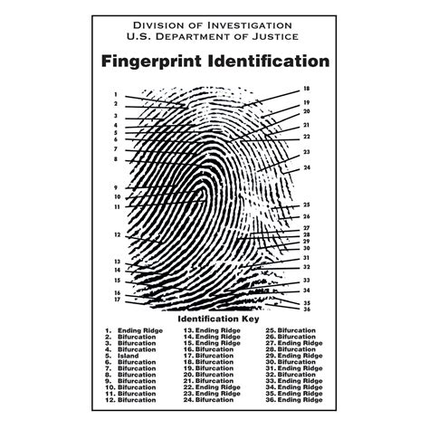 Fingerprint Poster - Crime Scene Forensic Supply Store