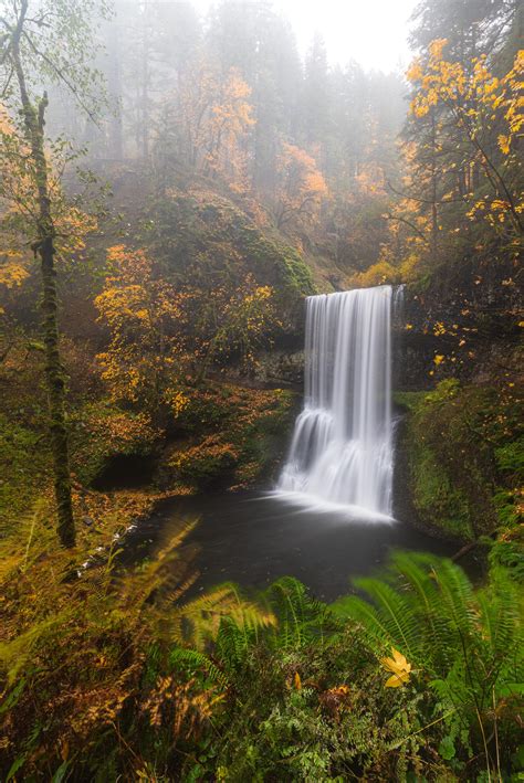 Silver Falls State Park, Oregon, USA [OC] [2003X3000] : r/oregonewild