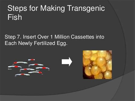 Characteristics of transgenic Fish