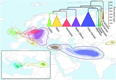 Map and maximum clade credibility tree showing the diversification of the major Indo-European ...