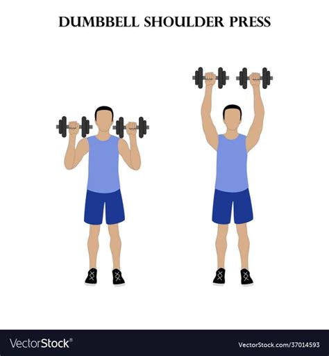 Deltoid Muscle Exercise