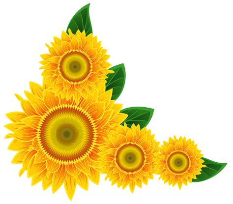 Free Sunflower Border Cliparts, Download Free Sunflower Border Cliparts png images, Free ...