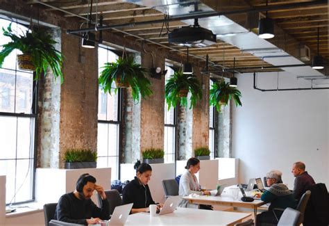The 7 Best Office Plants To Enhance Any Workspace