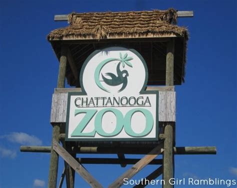 Tennessee Things to Do: Chattanooga Zoo | From Mom's Desk | Chattanooga zoo, Chattanooga ...