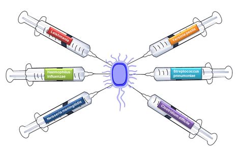 Glycobiology and Vaccine Development | Max-Planck-Institut für Kolloid- und Grenzflächenforschung