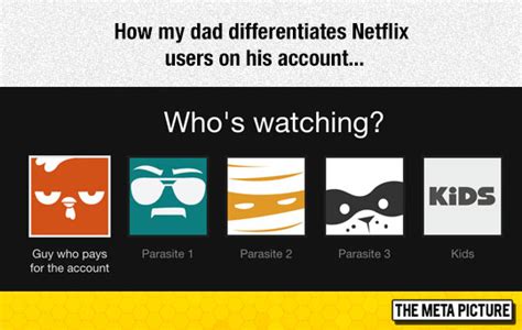 Netflix Users