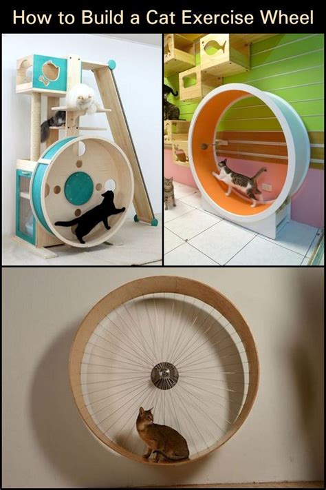 How to Build a Cat Exercise Wheel – DIY projects for everyone! | Cat exercise wheel diy, Cat ...