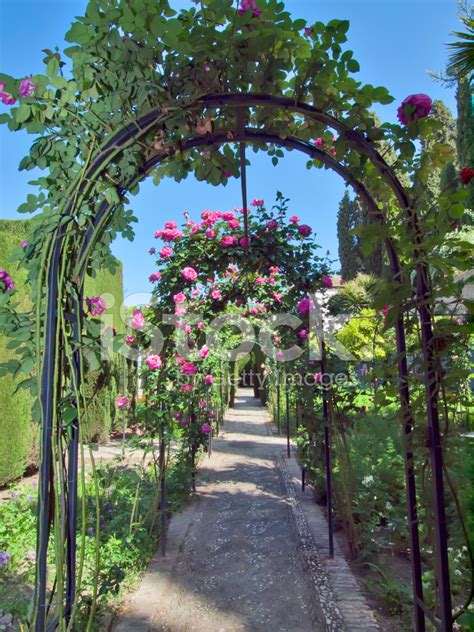 Archway From Roses In The Alhambra Palace Gardens, Granada, Spai Stock ...