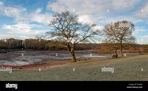 Sutton Park, Sutton Coldfield, West Midlands, UK Stock Photo - Alamy