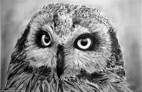 hyper realistic drawings of animals - Clip Art Library