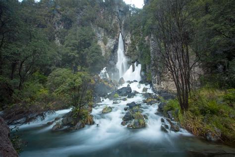 Tarawera Falls Track, Rotorua Region, NZ - 8 travel reviews for Tarawera Falls Track